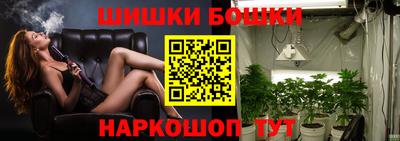 дмт Дубна