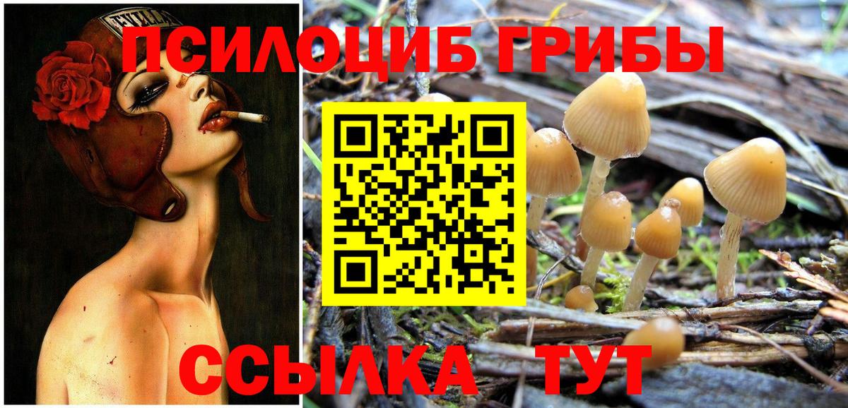 Мичуринск  Галлюциногенные грибы мухоморы  Галлюциногенные грибы мицелий  Вход с VPN 
