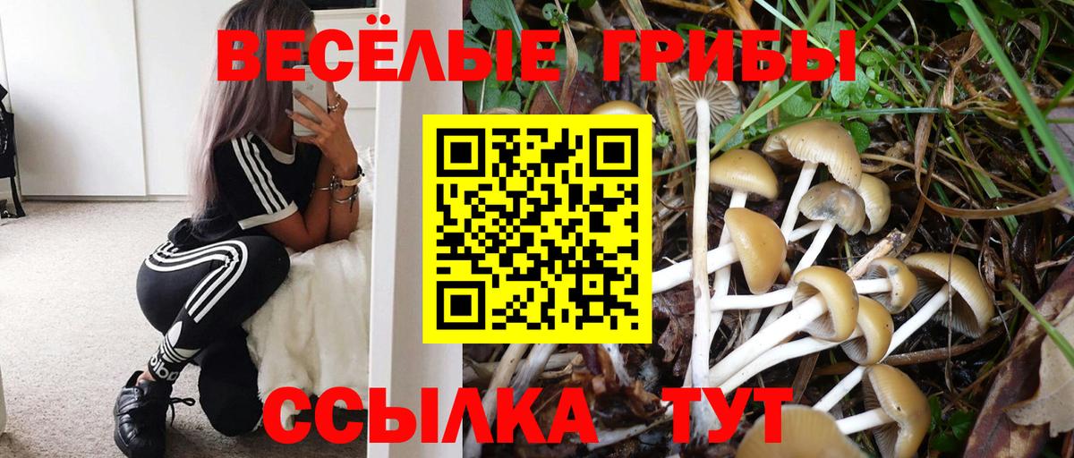 Галлюциногенные грибы GOLDEN TEACHER Мичуринск